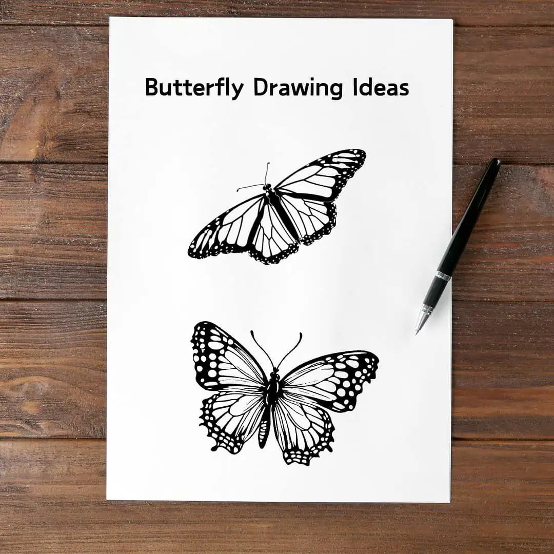 Home 7 butterfly drawing ideas