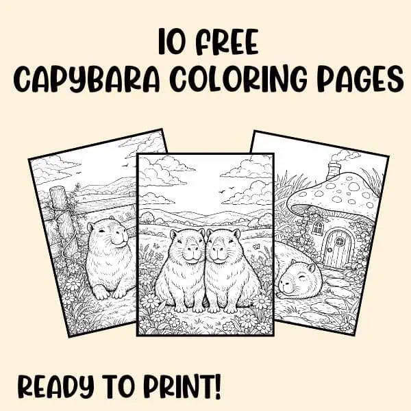 Home 4 High-quality black and white capybara coloring pages ready to print for fun.