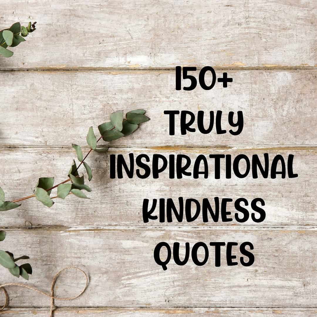 150+ Truly Inspirational Painted Rock Quotes